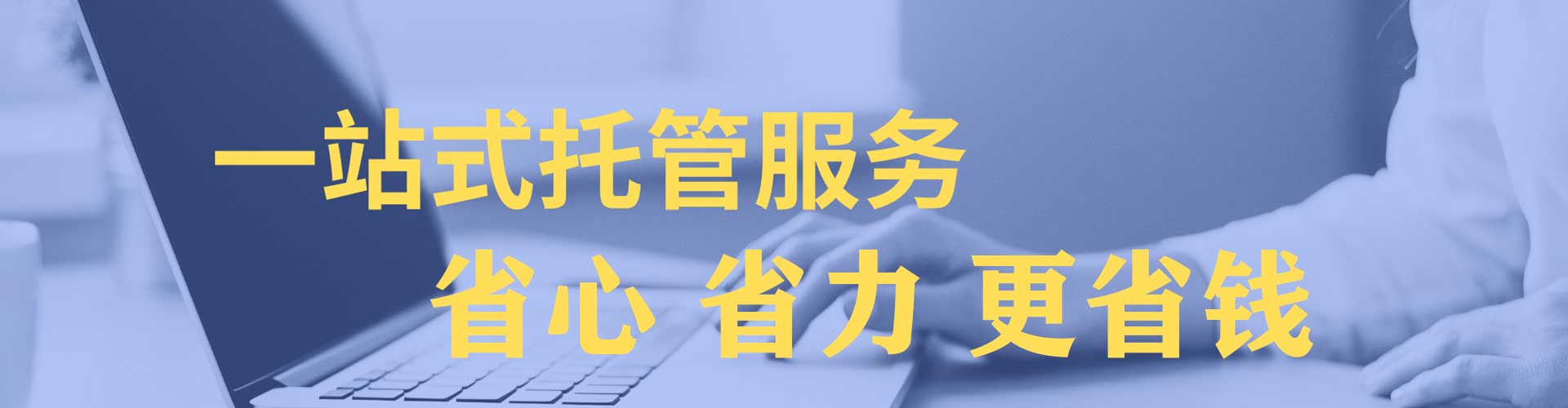 太白竞价开户